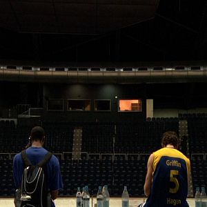 Foto Phoenix in der Asche