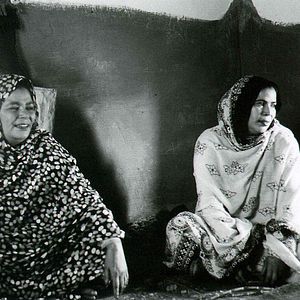 Foto Territoire Perdu