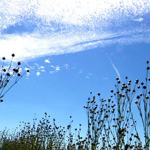 Foto La Pluie et le beau temps