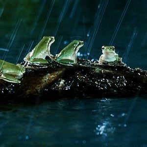 Foto Claude Nuridsany