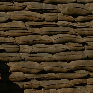 Foto En tierra de sangre y miel