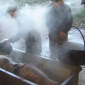 Foto Y'a pire ailleurs