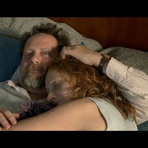 Foto El gato desaparece