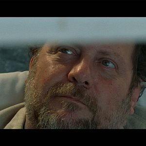 Foto El gato desaparece