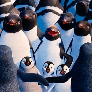 Foto Happy Feet 2