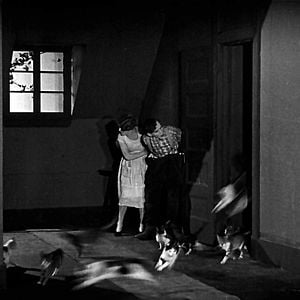 Foto Les Folles inventions de M. Bricolo