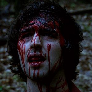 Foto Don't Go in the Woods