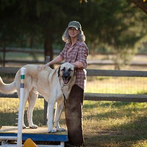 Foto Cuando te encuentre