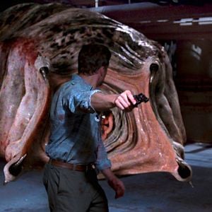 Foto Larvas asesinas