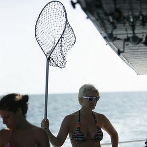 Foto El ataque del tiburón de dos cabezas