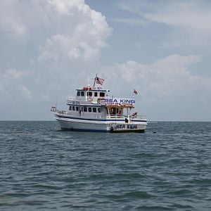 Foto El ataque del tiburón de dos cabezas