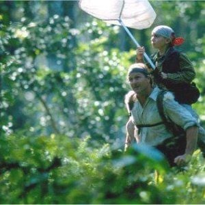 Foto La mariposa azul