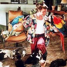 Foto Ace Ventura: Un detective diferente