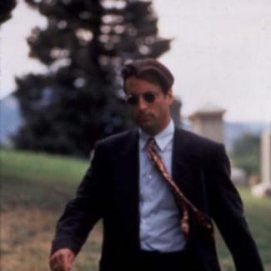 Foto Cosas que hacer en Denver cuando estás muerto