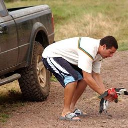 Foto 50 Primeras Citas