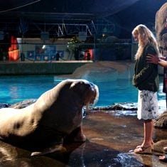 Foto 50 Primeras Citas