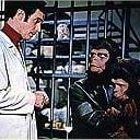 Foto Huida del planeta de los simios