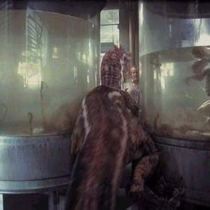 Foto Jurassic Park III (Parque Jurásico III)