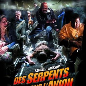 Foto Serpientes en el avión