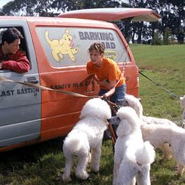 Foto Noviembre dulce