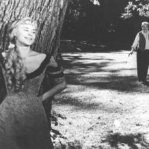 Foto Sonrisas de una noche de Verano