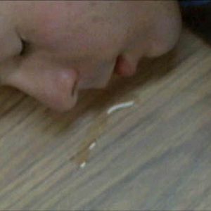 Foto Todo en un día