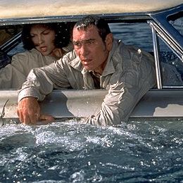 Foto Doble traición