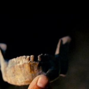 Foto Borderland: Al otro lado de la frontera