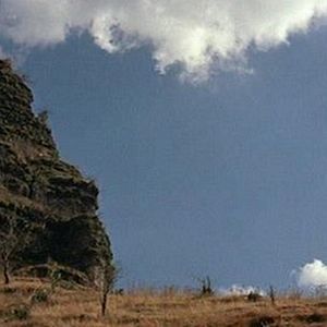 Foto Dos mulas y una mujer