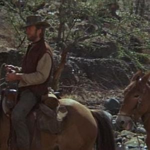 Foto Dos mulas y una mujer