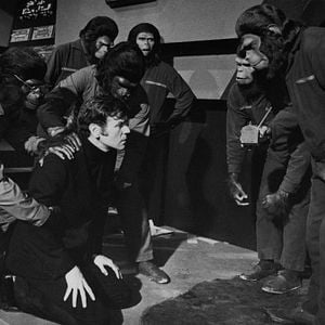 Foto La rebelión de los simios