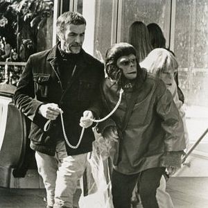 Foto La rebelión de los simios