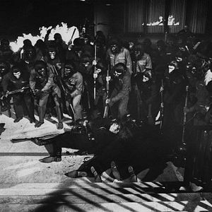 Foto La rebelión de los simios