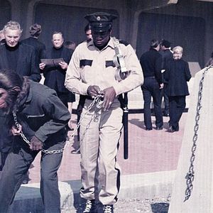 Foto La rebelión de los simios