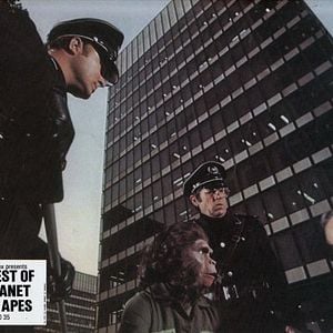 Foto La rebelión de los simios