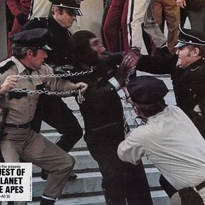 Foto La rebelión de los simios