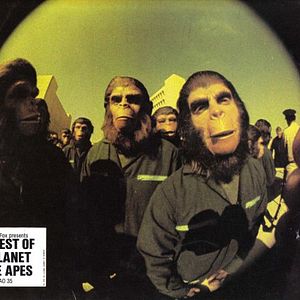 Foto La rebelión de los simios