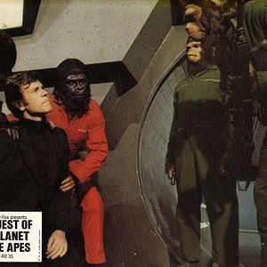 Foto La rebelión de los simios