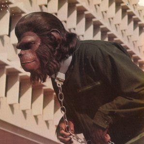 Foto La rebelión de los simios