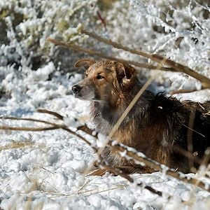 Foto ¡Por fin solos!