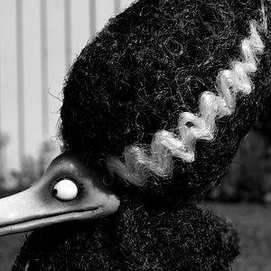 Foto Frankenweenie