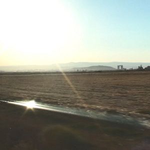 Foto Le Fils du marchand d'olives