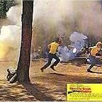 Foto Bendice a los animales y a los niños