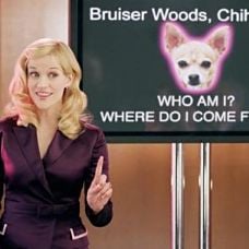 Foto Una rubia muy legal 2