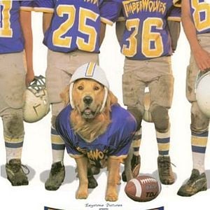 Foto Air Bud: El fichaje de la liga