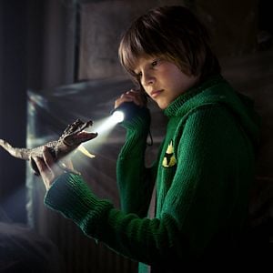 Foto Das Haus der Krokodile