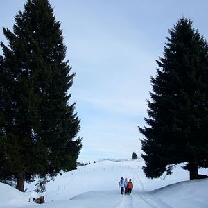 Foto Die Kinder vom Napf