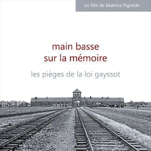 Foto Main basse sur la mémoire, les pièges de la loi Gayssot