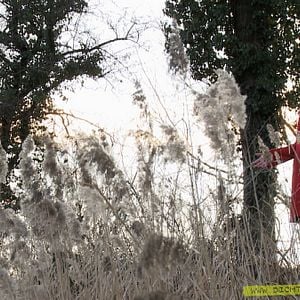 Foto Dichter und Kämpfer