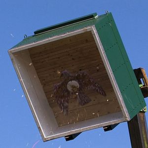 Foto Glaube Sitte Heimat